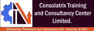 consolatrix logo